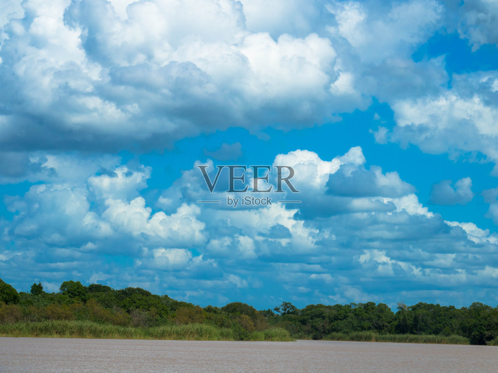 南非夸祖鲁-纳塔尔省圣卢西亚附近的ISimangaliso湿地公园照片摄影图片