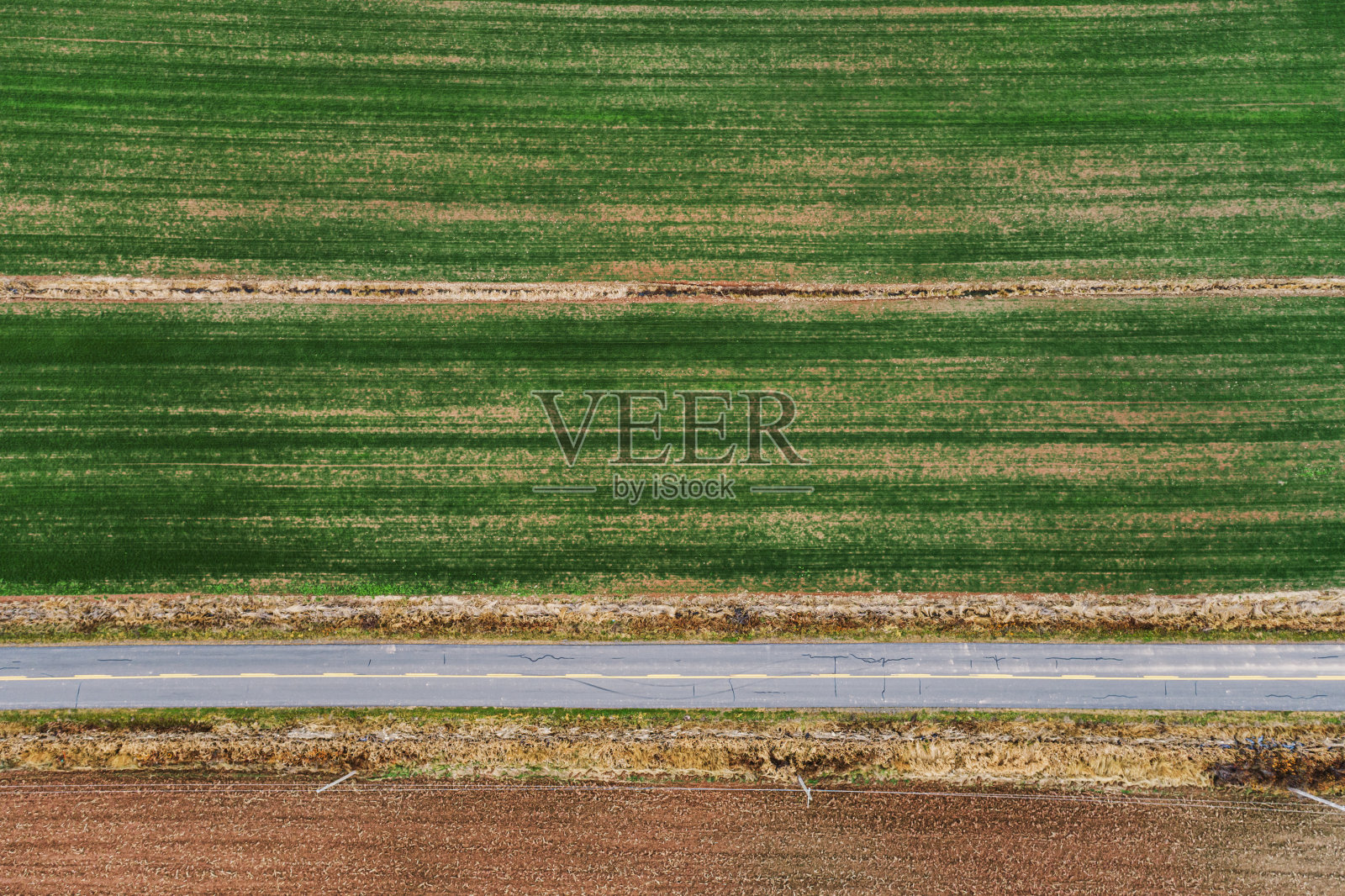 农田道路照片摄影图片