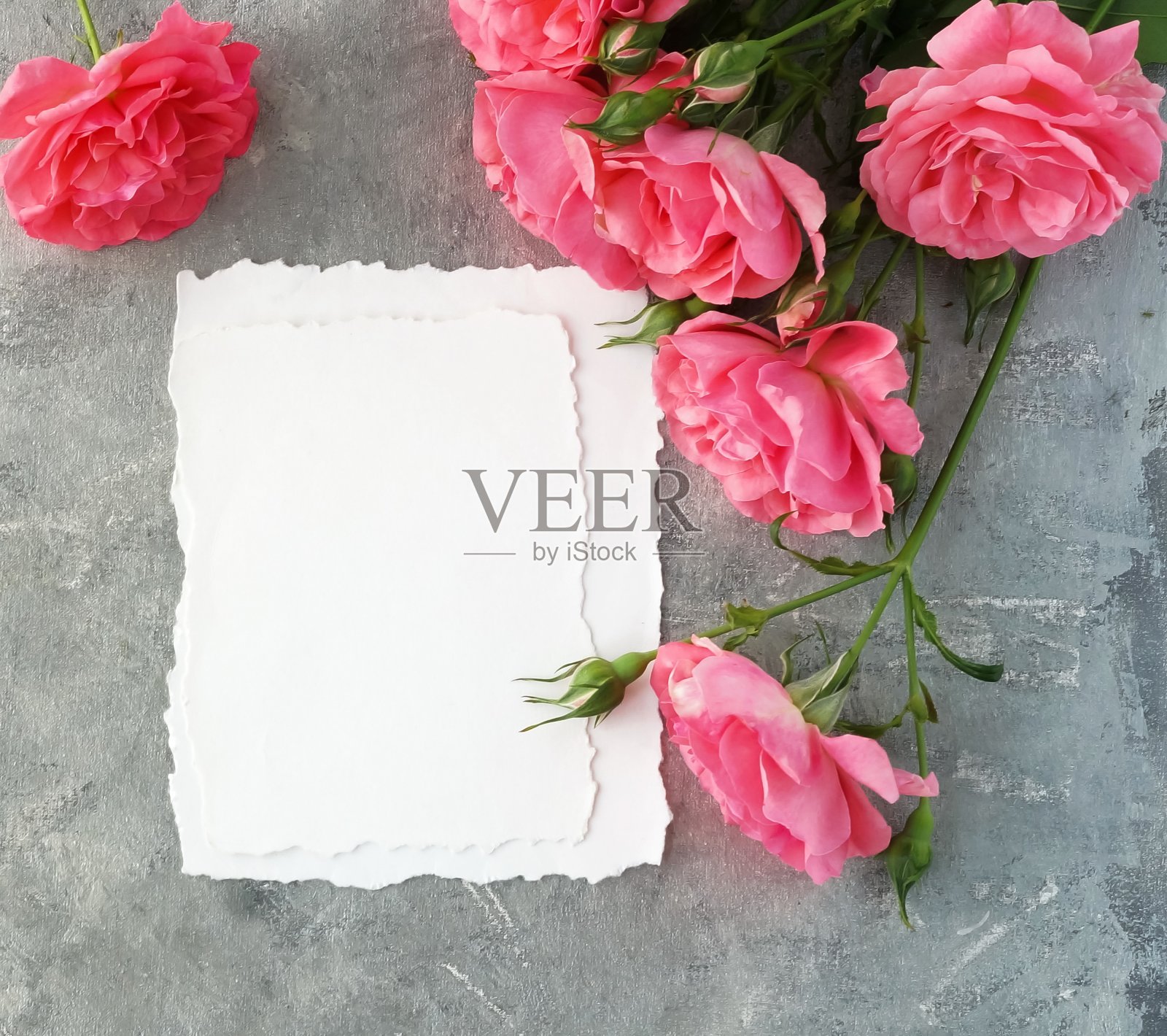 空白纸和粉色玫瑰框架在灰色复古背景与拷贝空间俯视图。花卡,请柬,问候照片摄影图片