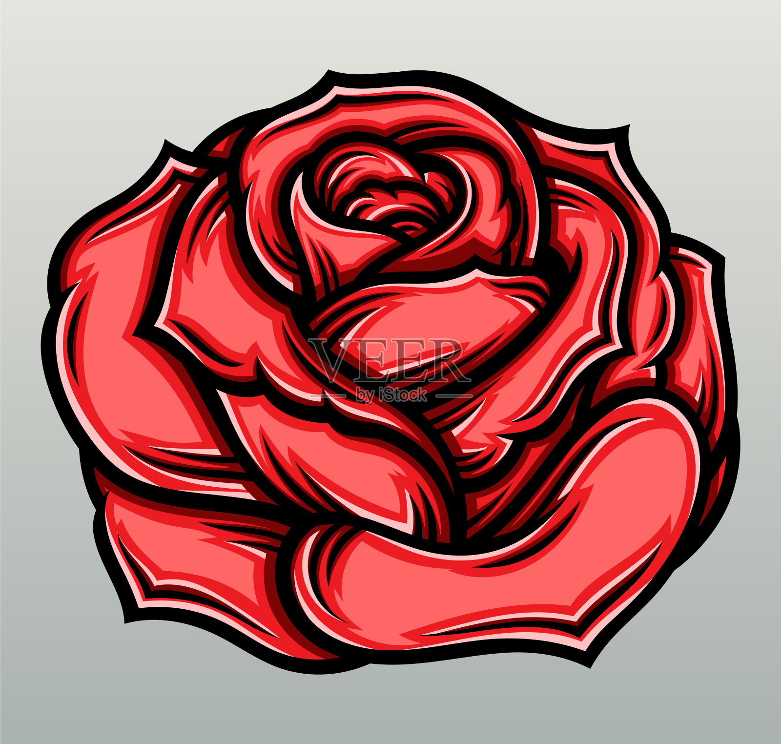 红玫瑰插图插画图片素材