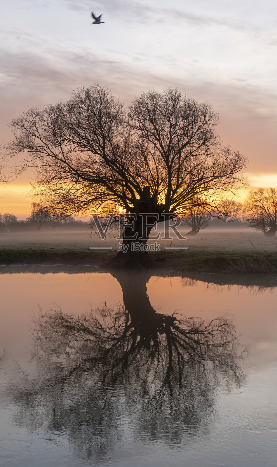 日出时的大河照片摄影图片