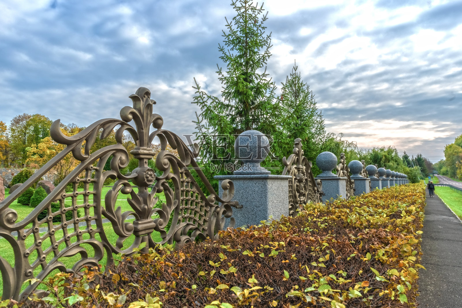 在Buky景观公园,修剪过的灌木靠近装饰性的篱笆。乌克兰照片摄影图片