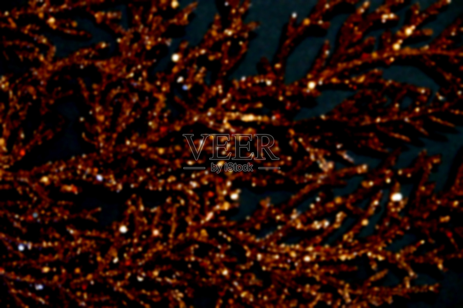 散焦棕色镀金枝上的黑色背景为抽象的圣诞节空白照片摄影图片