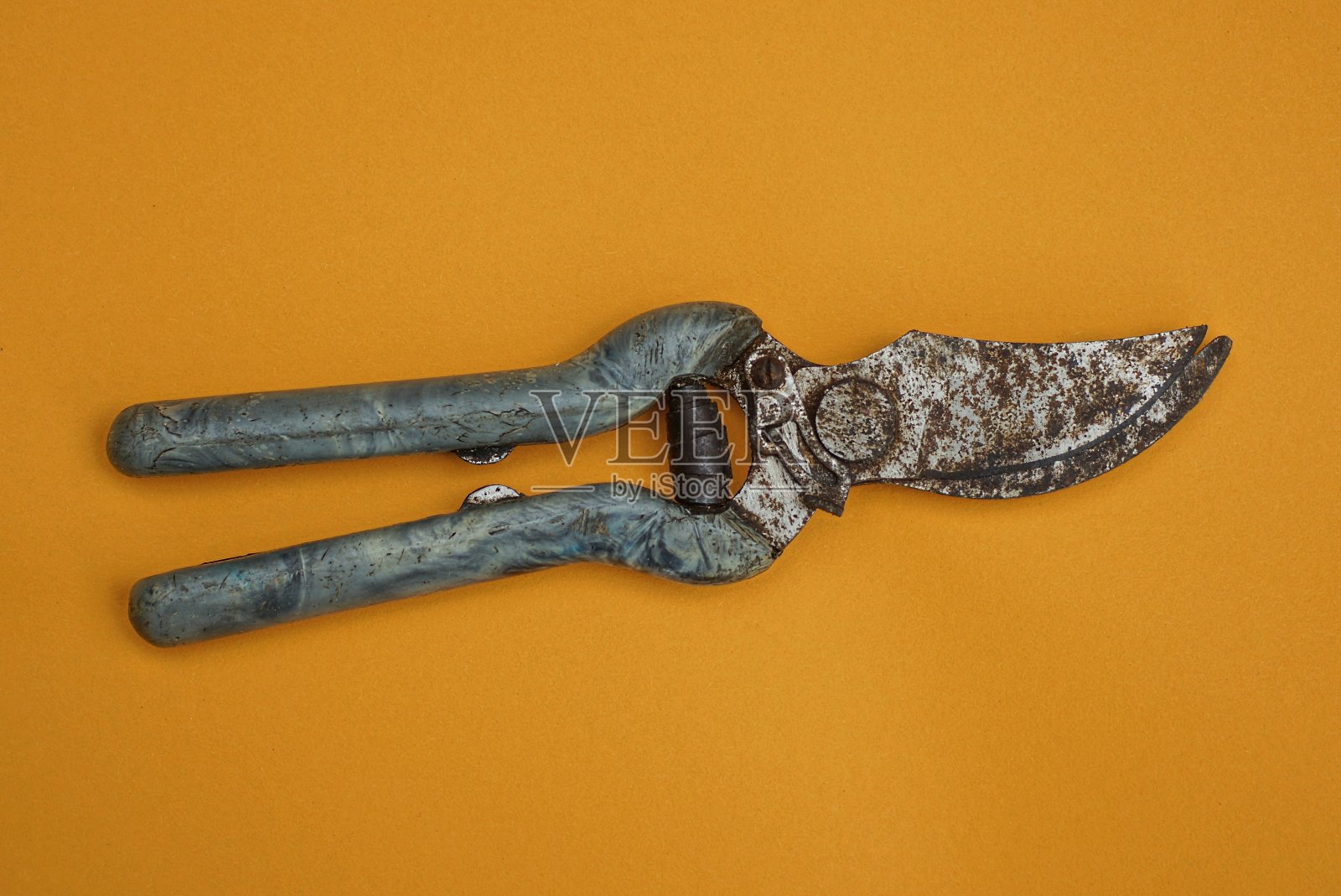 合上一把锈迹斑斑的灰色旧花园剪刀照片摄影图片