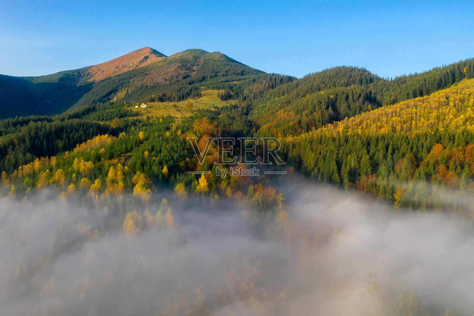 喀尔巴阡山脉的五彩秋日清晨。Sokilsky脊,乌克兰,欧洲..照片摄影图片