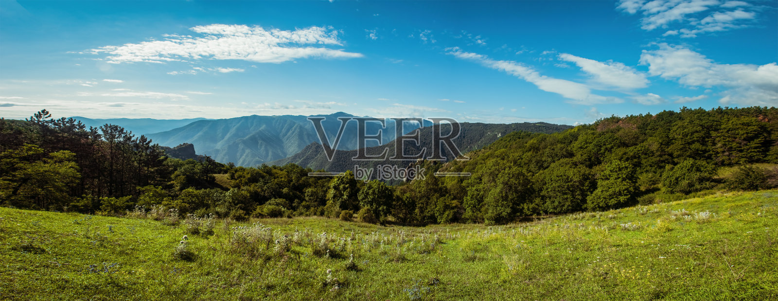奇妙的大自然的照片照片摄影图片