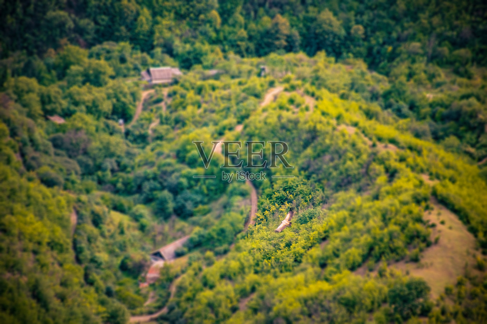 奇妙的大自然的照片照片摄影图片