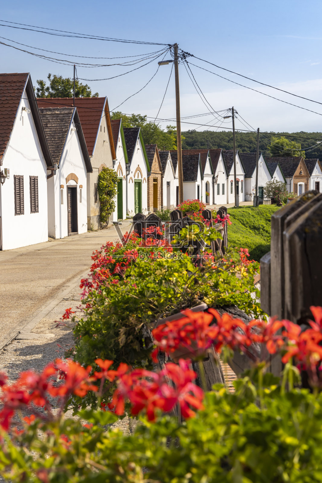 匈牙利Villanykovesd的酒窖照片摄影图片