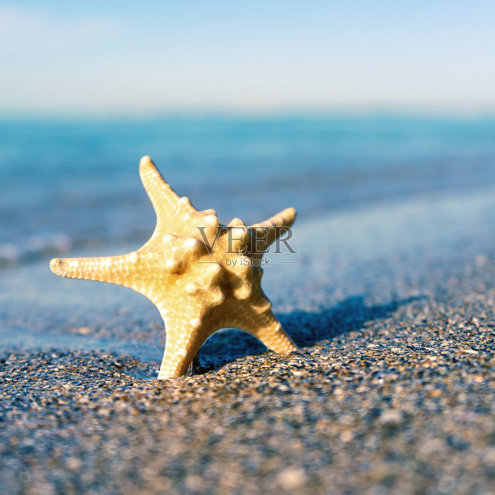 暑假背景,海面,可爱的沙滩和水线照片摄影图片
