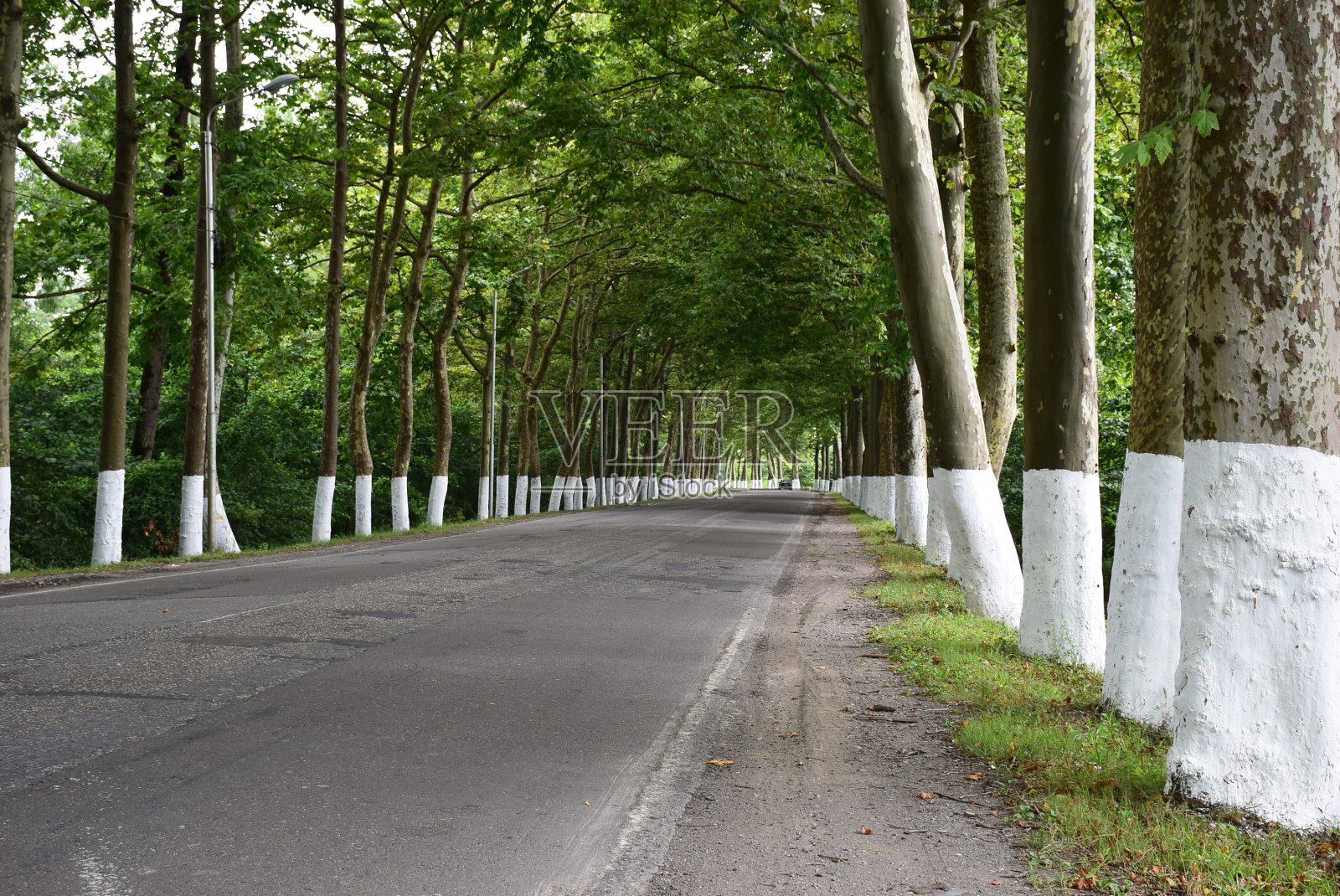 美丽的照片照片摄影图片