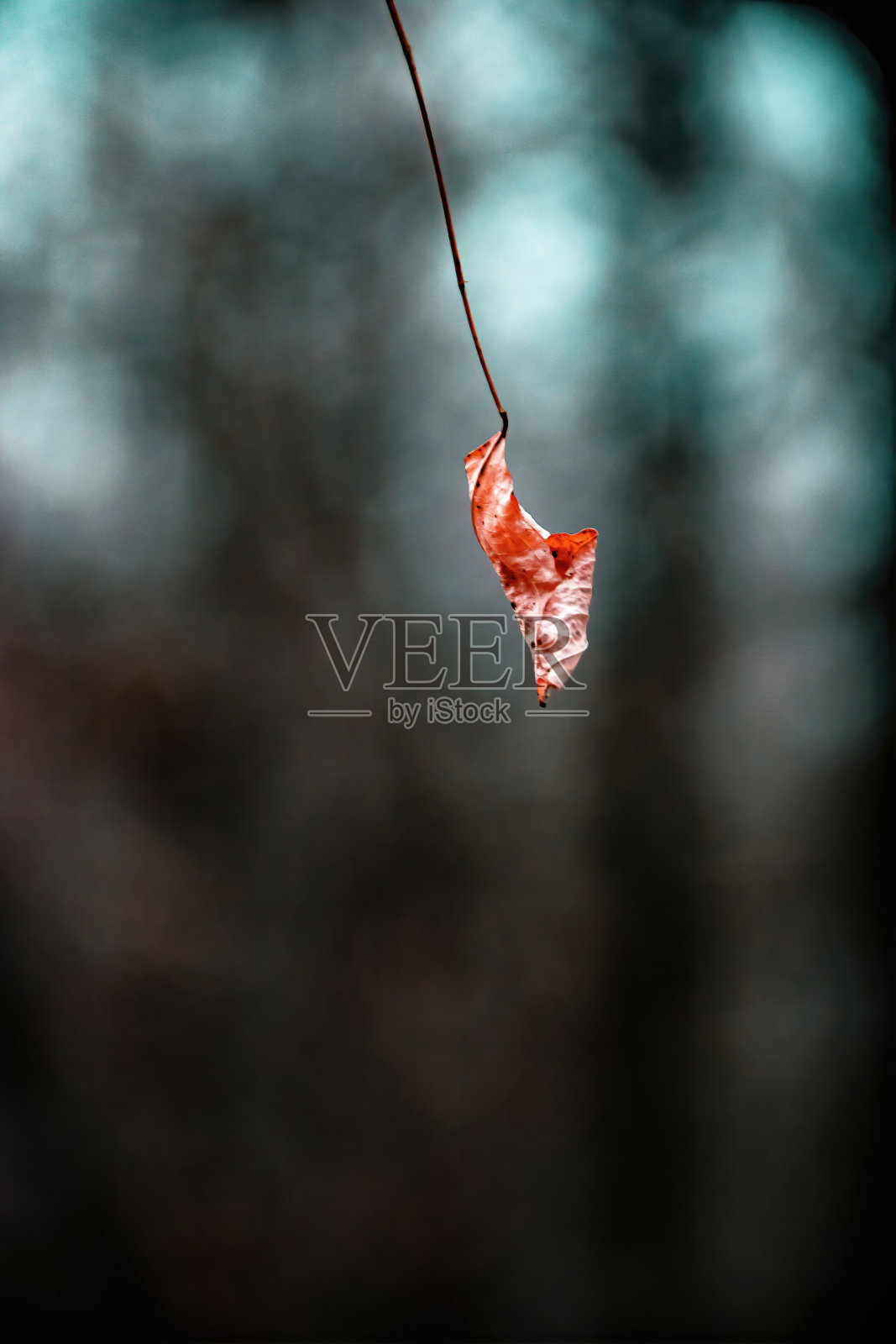 城市生活照片摄影图片