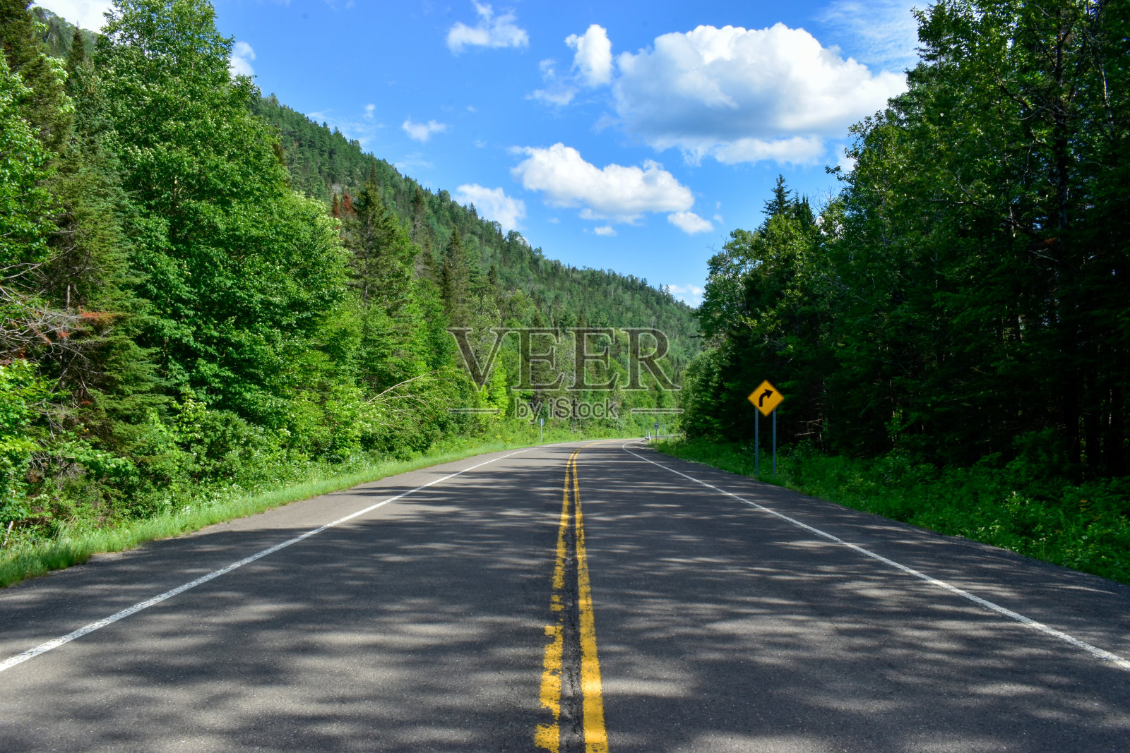 加拿大森林里的路照片摄影图片