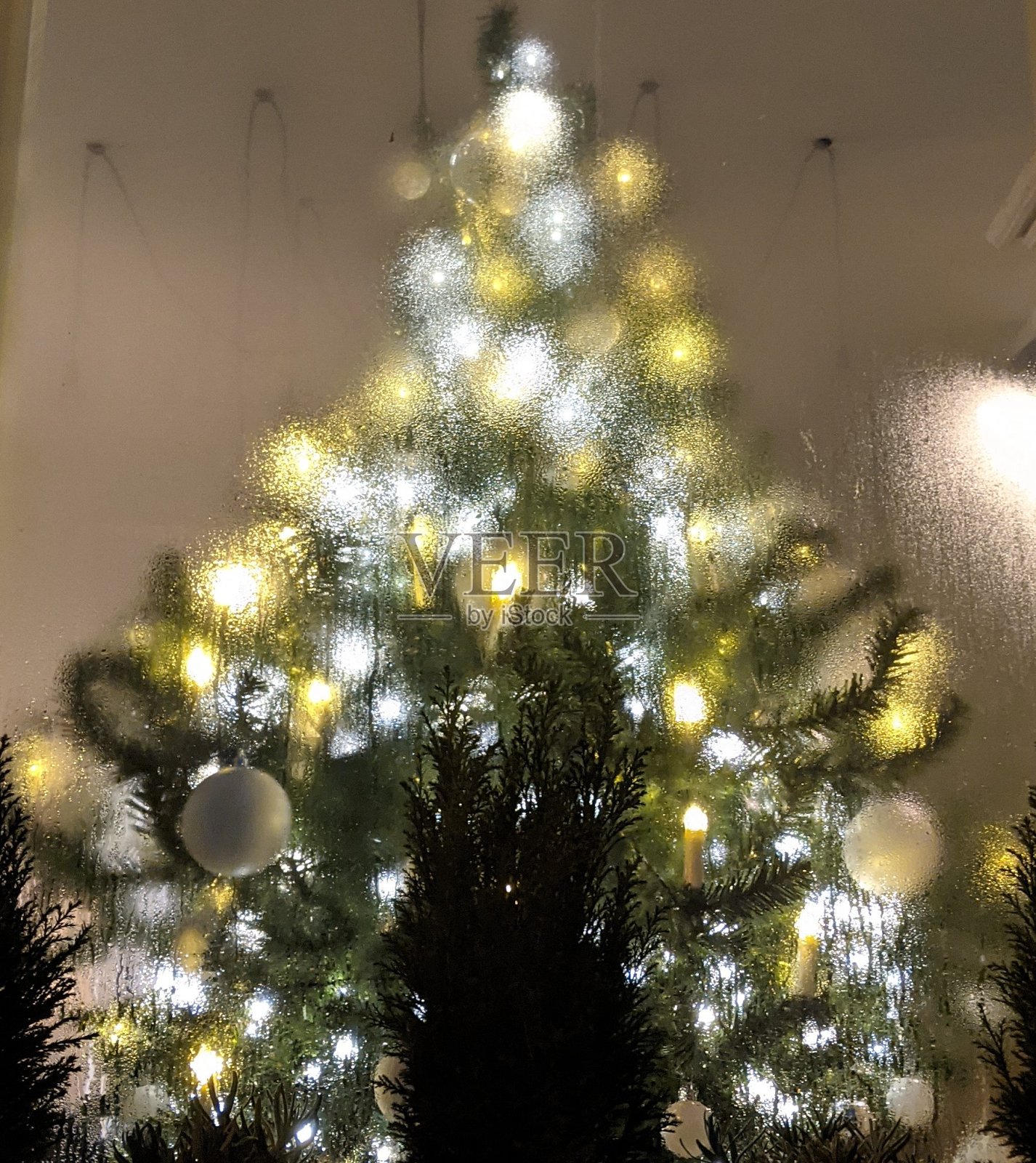 有雾的圣诞树照片摄影图片