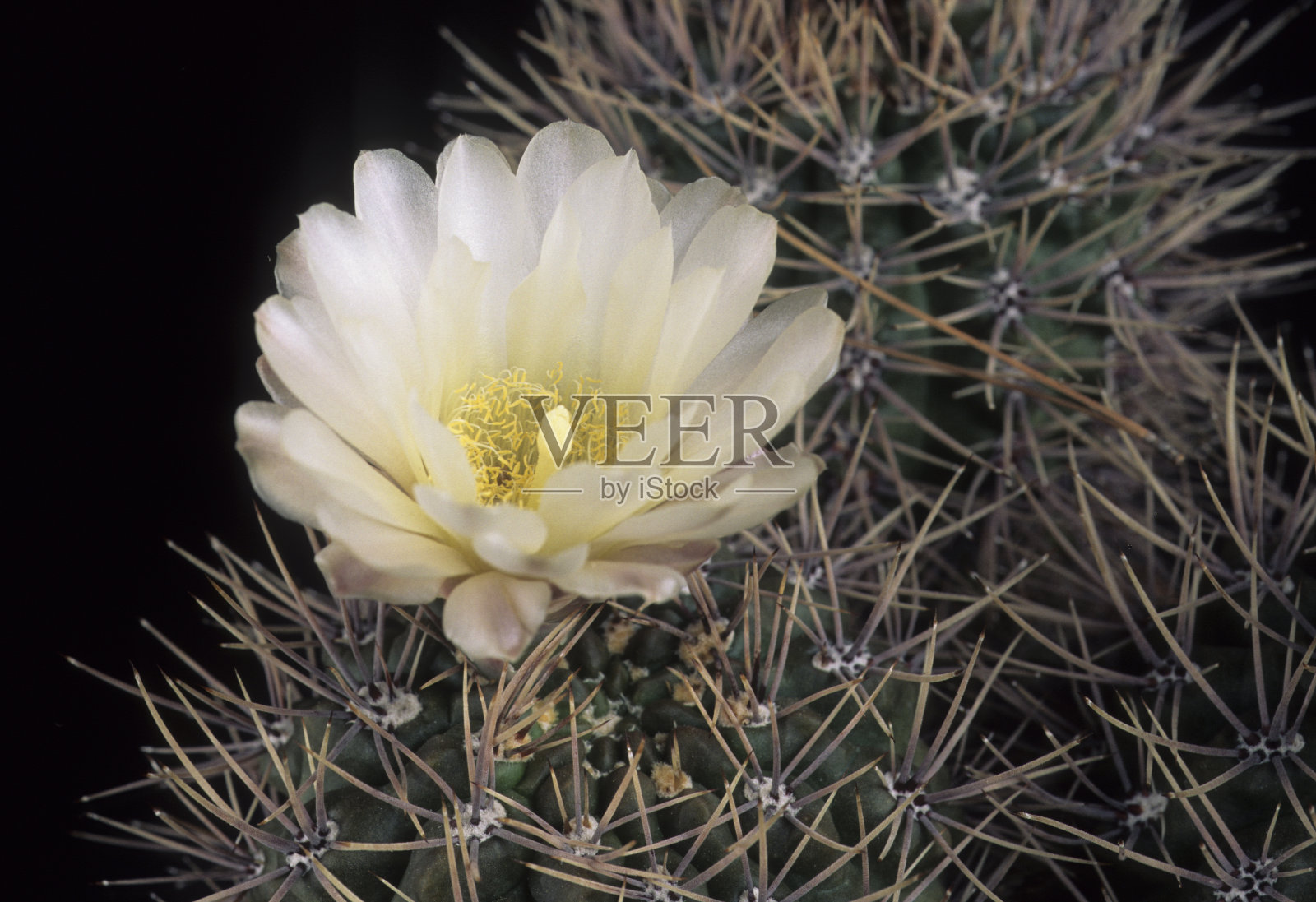 体育馆照片摄影图片