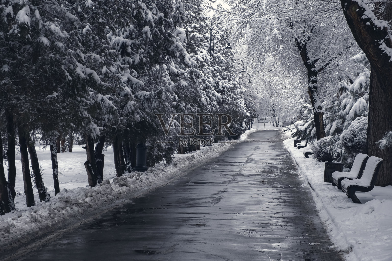 降雪后的冬季公园步道。暴风雪背景。公园,户外。冬天的暴风雪。城市景观。照片摄影图片