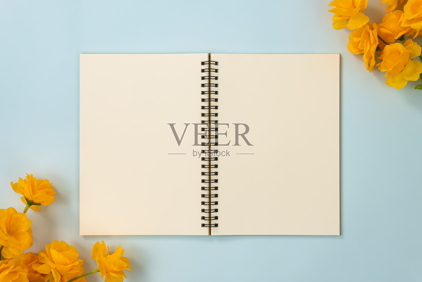 桌面螺旋笔记本和黄色花在左下角和右上角照片摄影图片