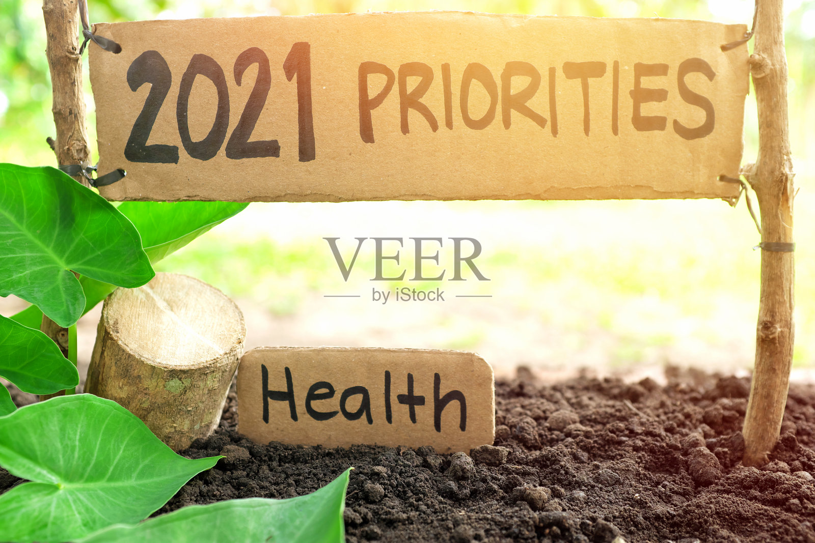 2021年优先事项以自然为背景。2021年新年,将健康作为优先事项和目标概念。照片摄影图片
