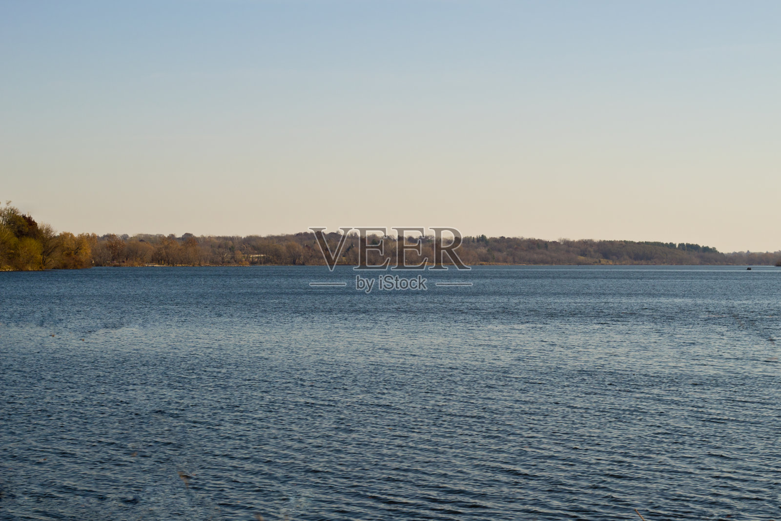 远处有一排树的水景照片摄影图片