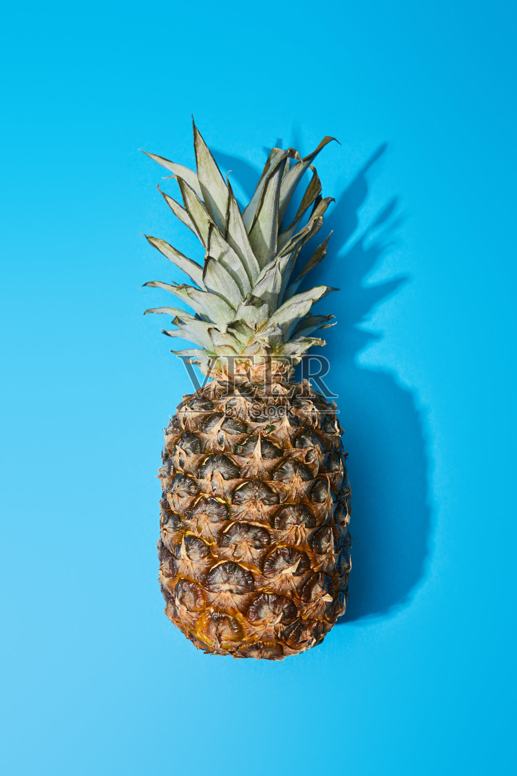 俯视图整个成熟的菠萝在蓝色的彩色背景照片摄影图片