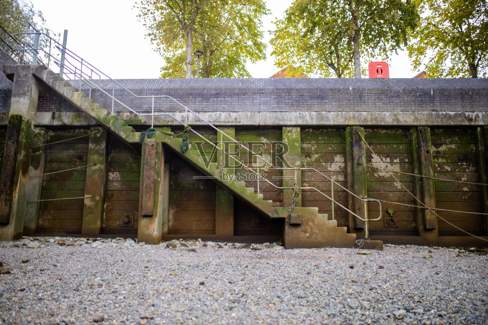 楼梯旁边的混凝土墙部分被苔藓覆盖的景观照片摄影图片