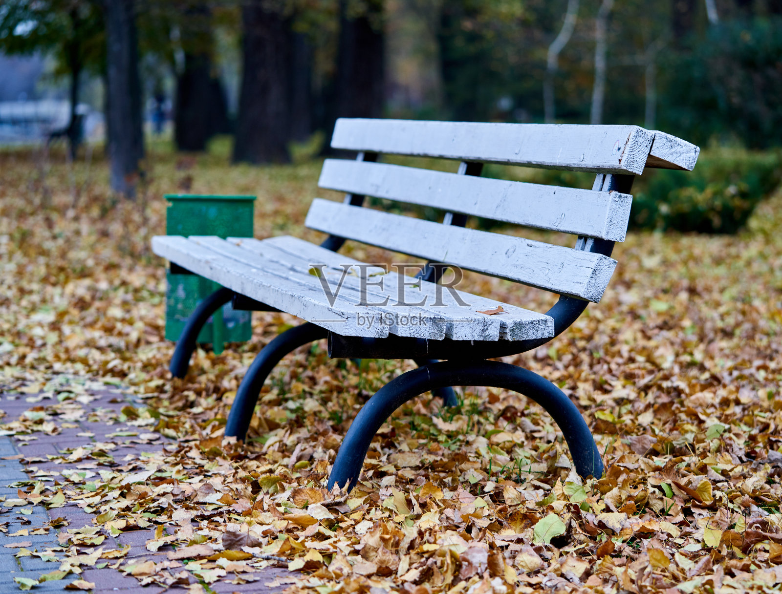 秋天,树叶落到了地上照片摄影图片