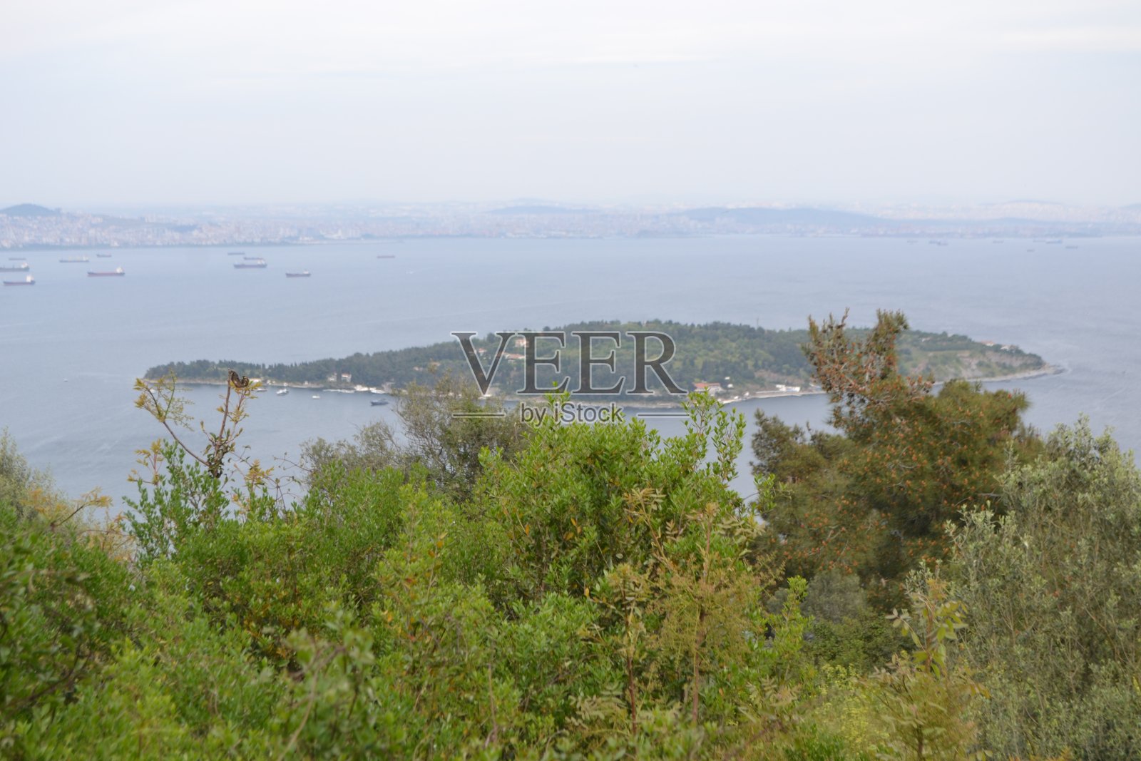 布尤卡达,王子群岛,伊斯坦布尔,土耳其照片摄影图片