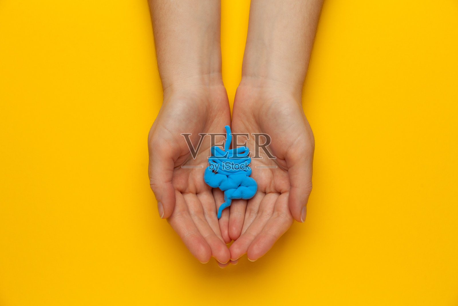 治疗和预防便秘、腹泻。肠道菌群和益生菌。卡通的概念照片摄影图片