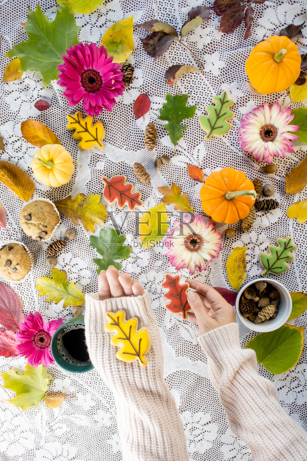 把饼干照片摄影图片