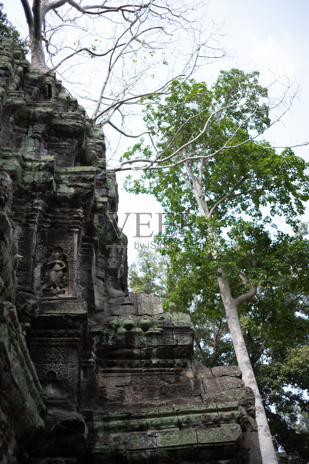 柬埔寨暹粒的吴哥窟寺庙照片摄影图片