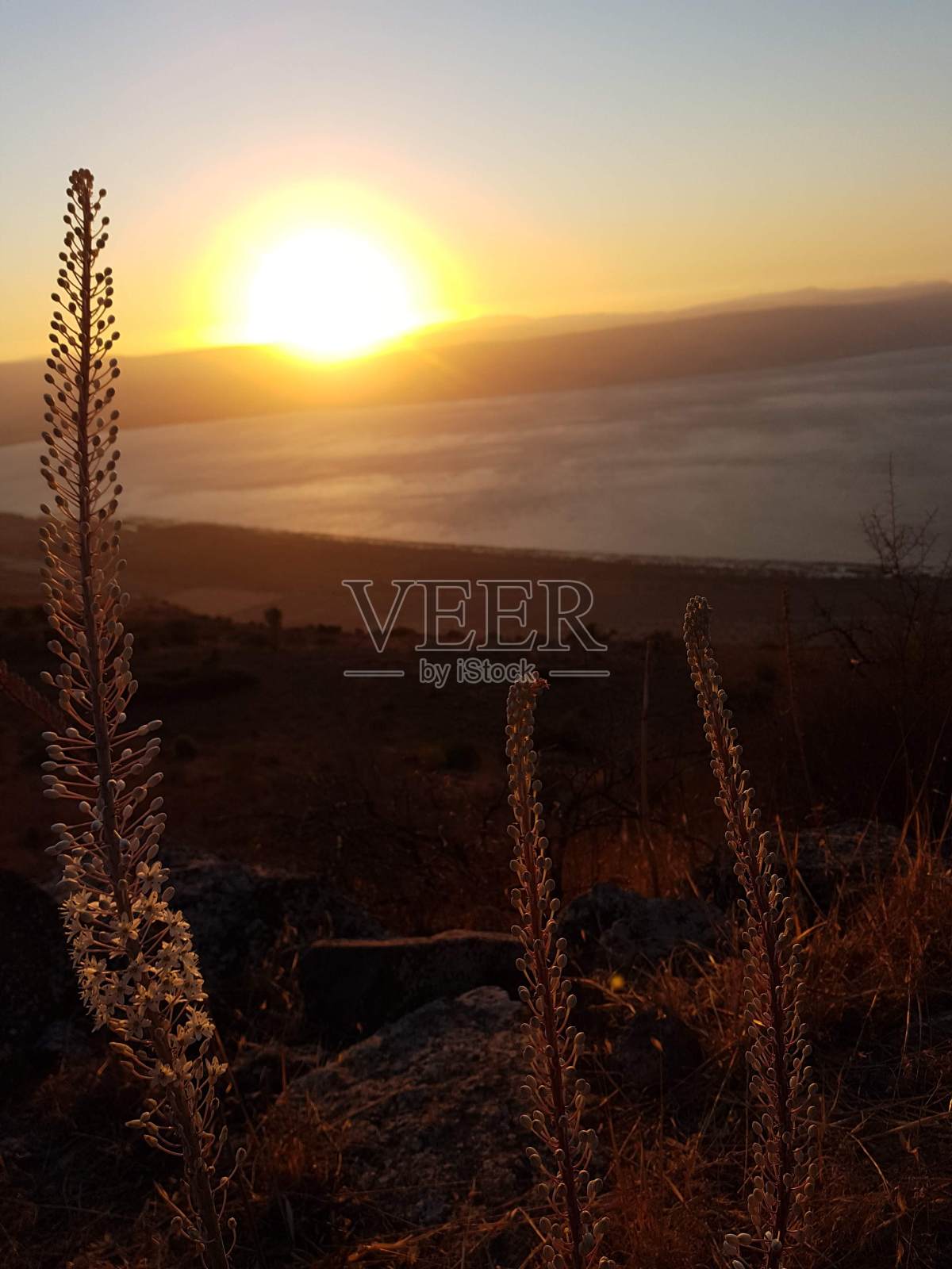 加利利海的日落照片摄影图片