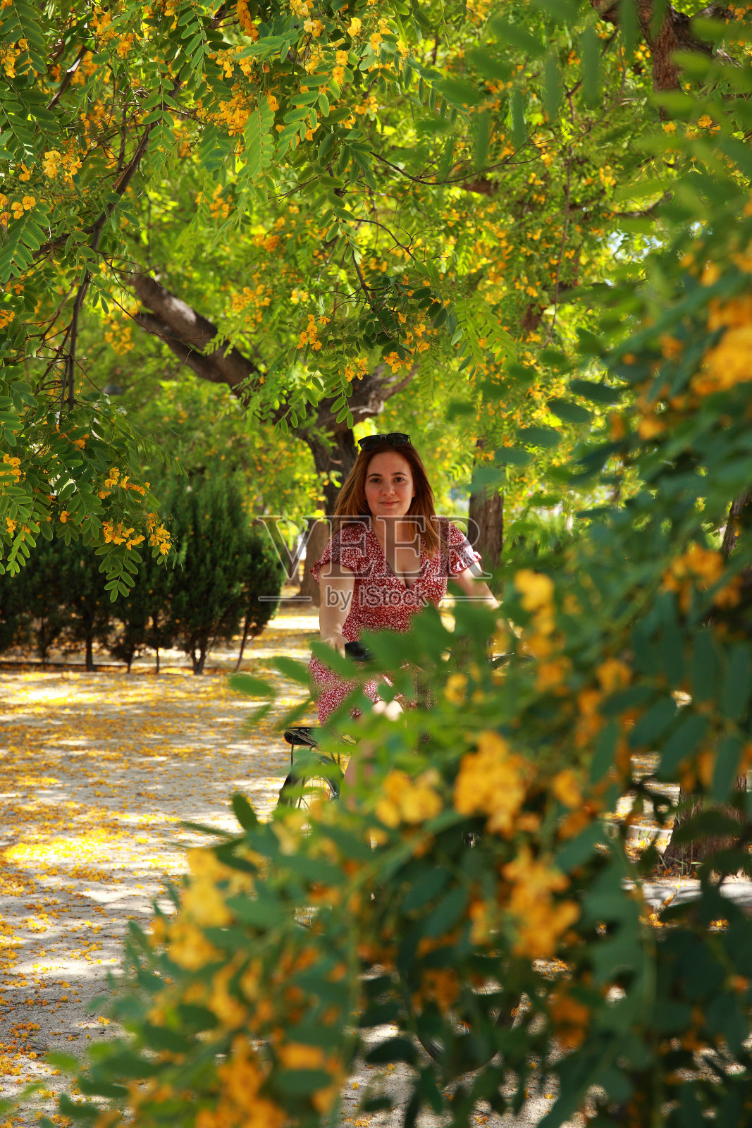 骑自行车的女孩照片摄影图片