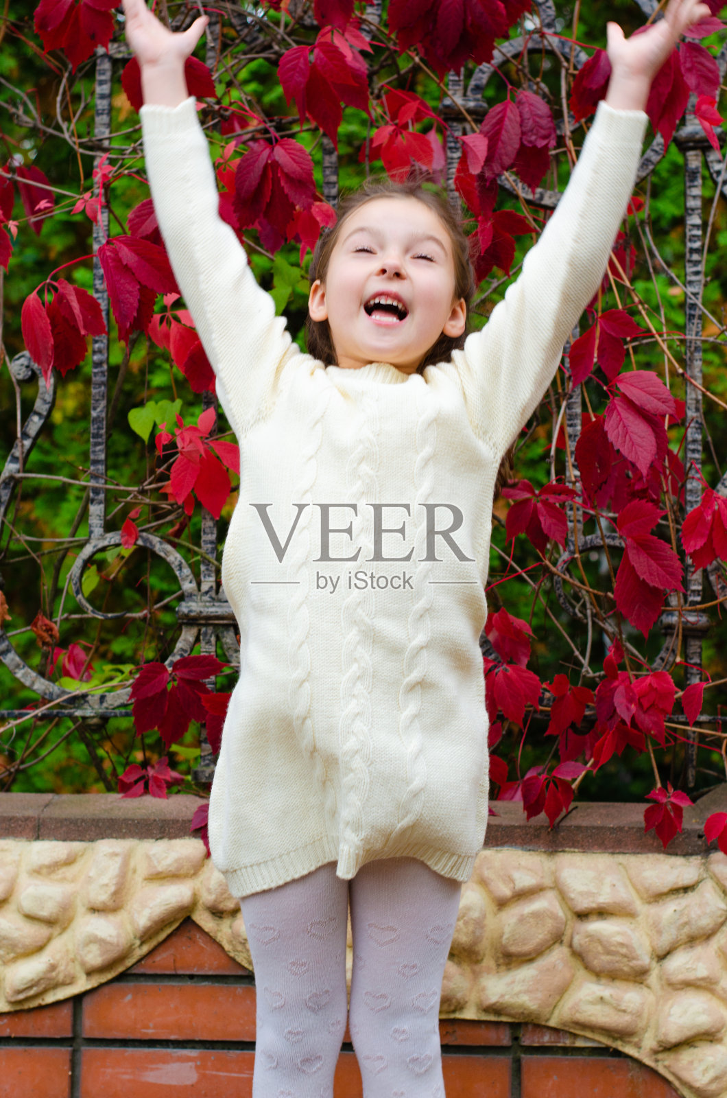 穿着白色针织连衣裙的小女孩手里拿着树叶,把它们往上抛。秋夜公园里鲜红的葡萄叶子。秋天的季节。照片摄影图片