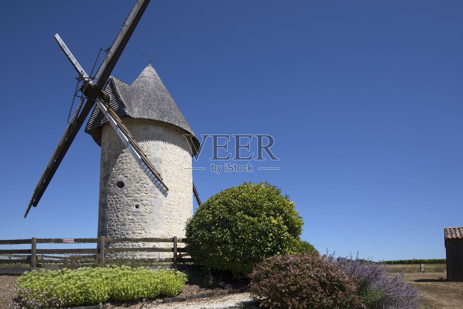 位于法国科涅克市附近的夏朗特地区,葡萄藤之间的古老风车照片摄影图片