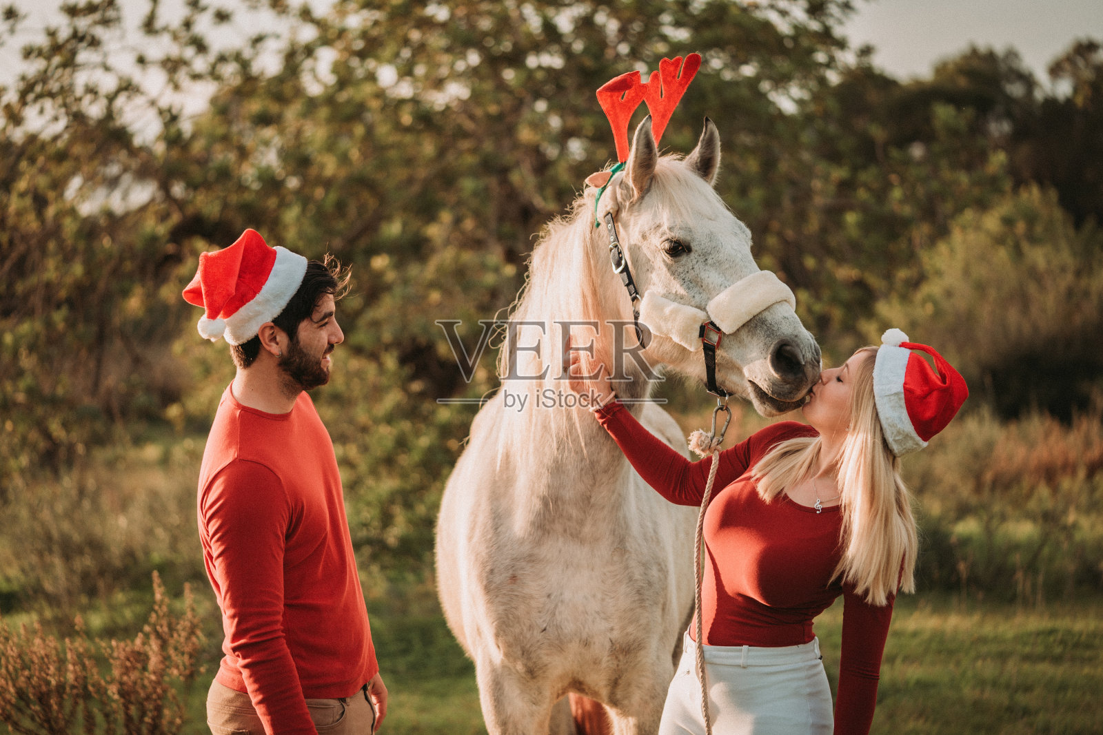 在户外与白马玩耍的快乐圣诞情侣照片摄影图片