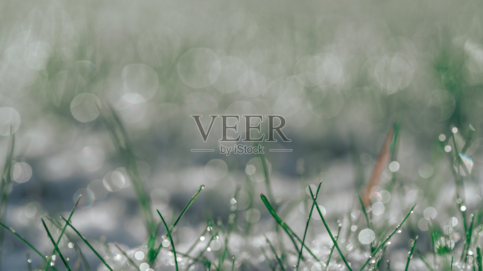 第一场雪的魔力照片摄影图片