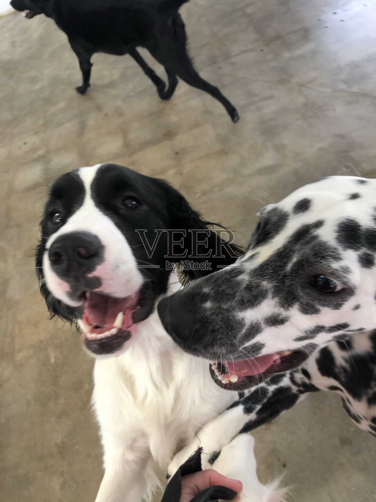 姐妹玩照片摄影图片