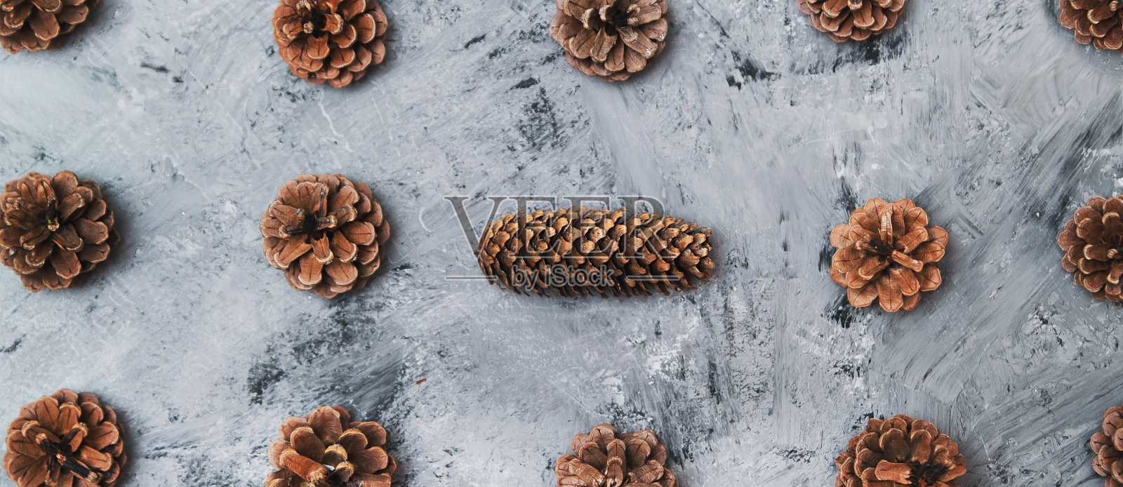 石头背景上的松果纹理。照片摄影图片