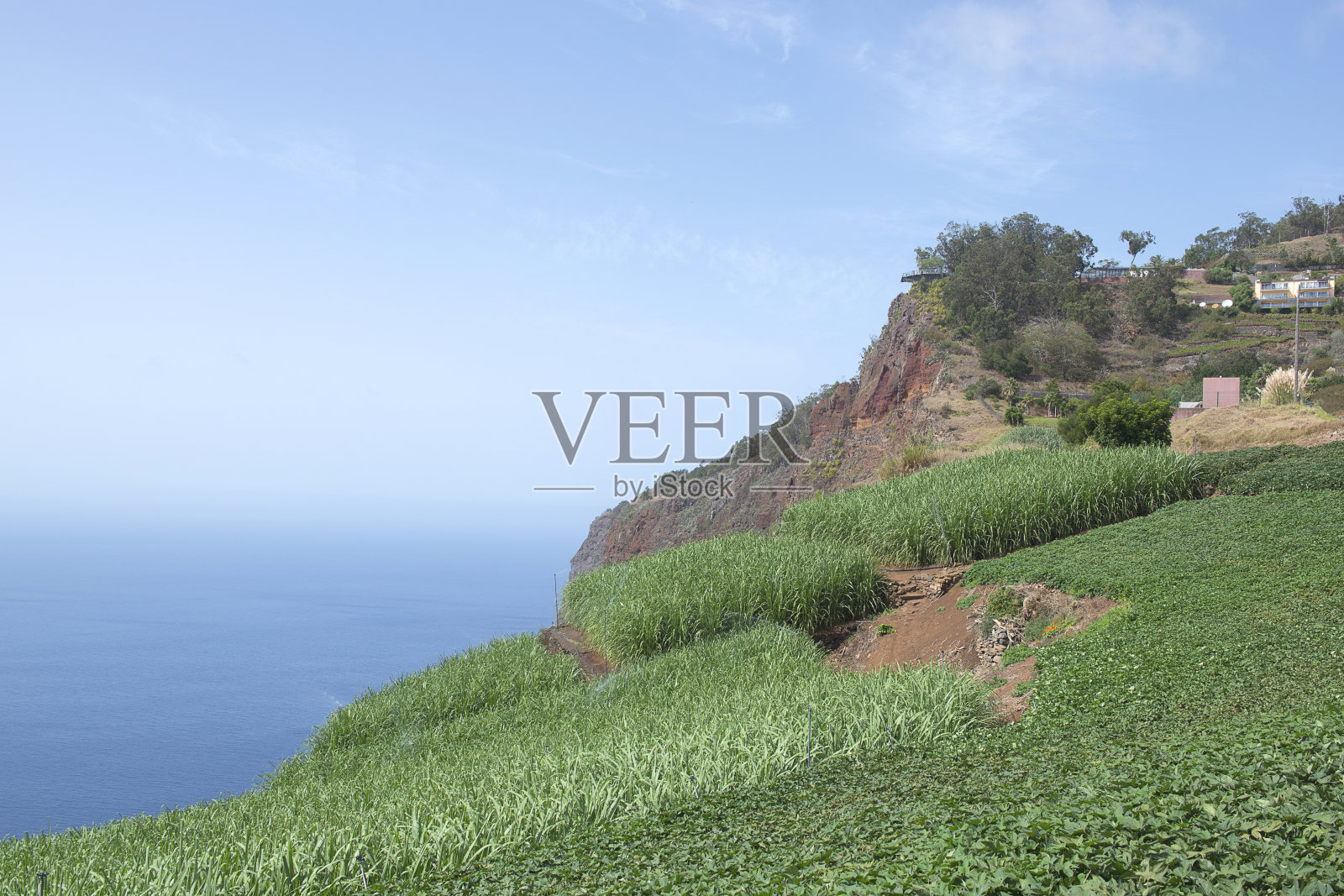 圣维森特海岸附近照片摄影图片