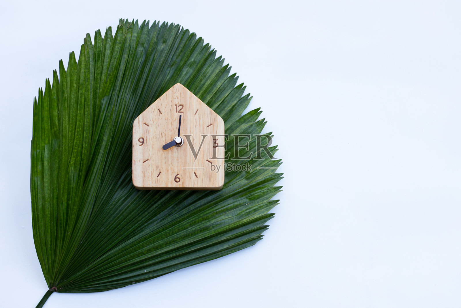 白色背景上的绿色树叶上的木制时钟。本空间照片摄影图片