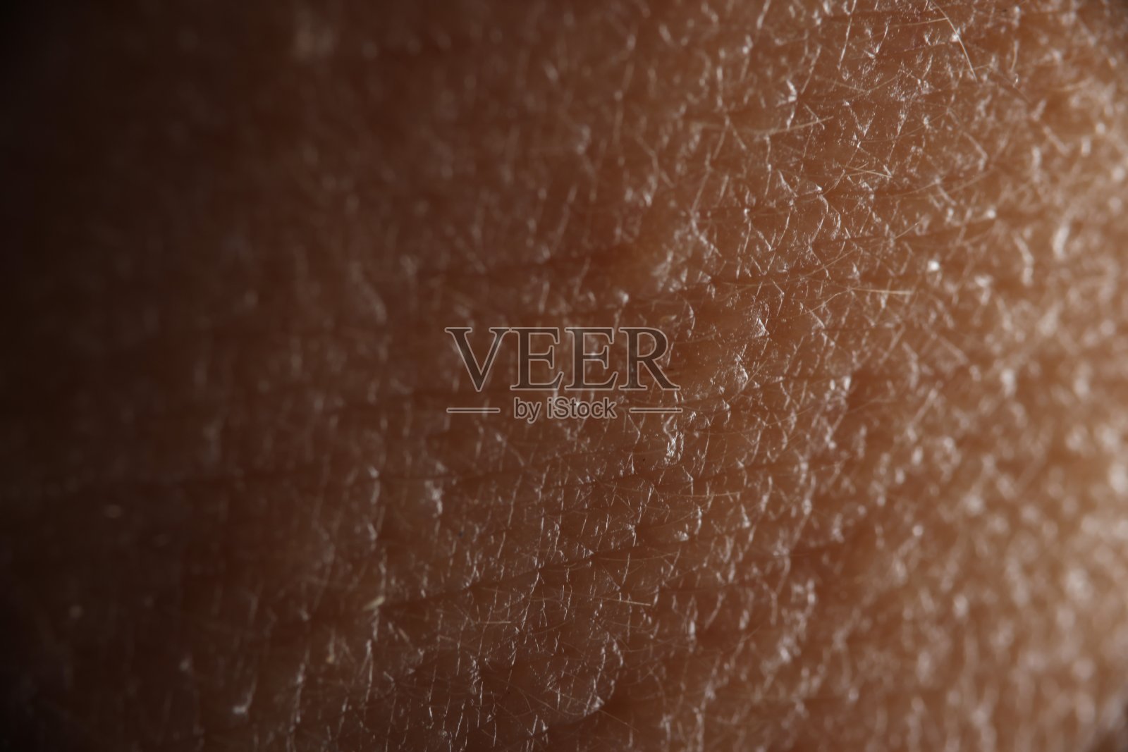 人类皮肤和小头发的特写。照片摄影图片