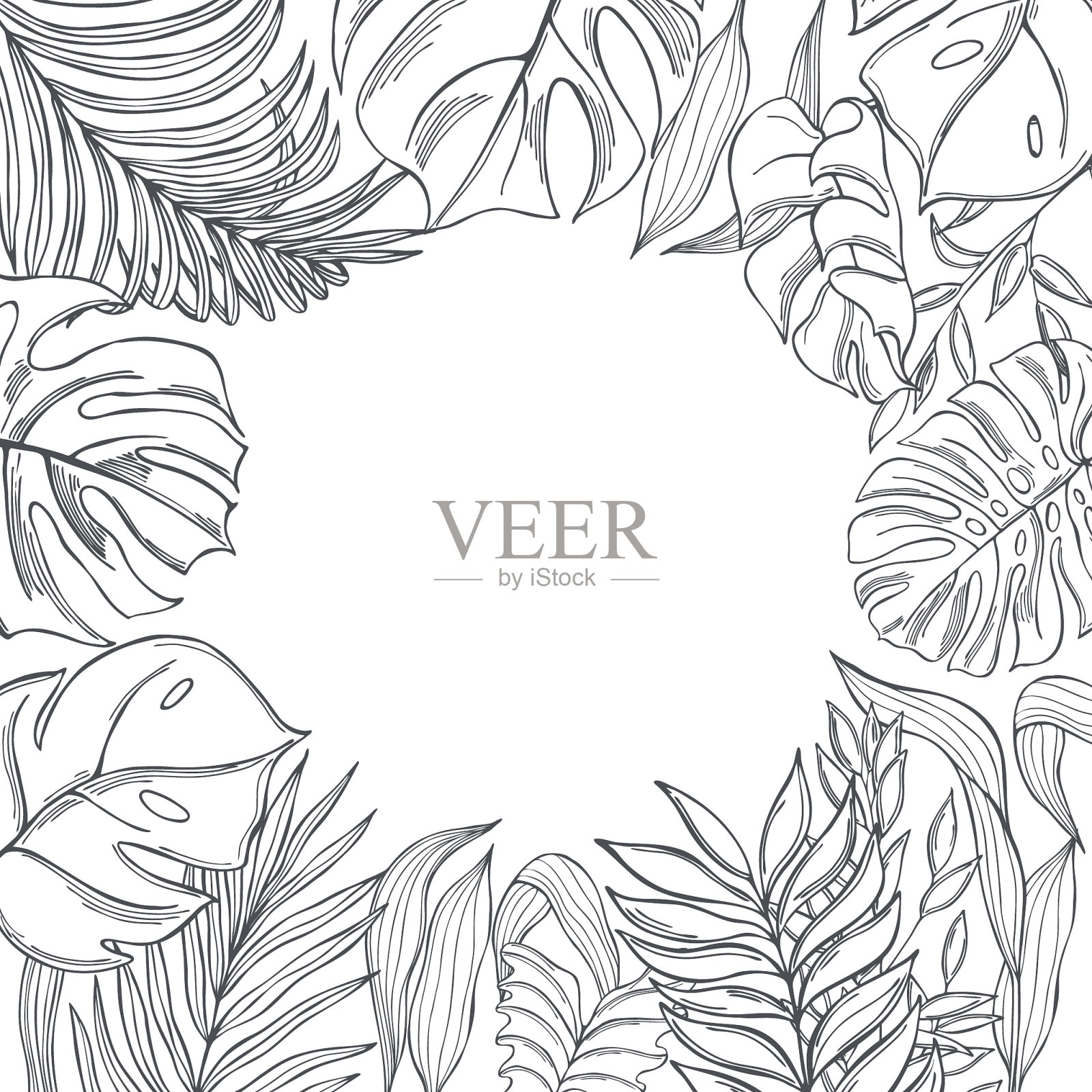 背景与手绘热带植物素描插画图片素材