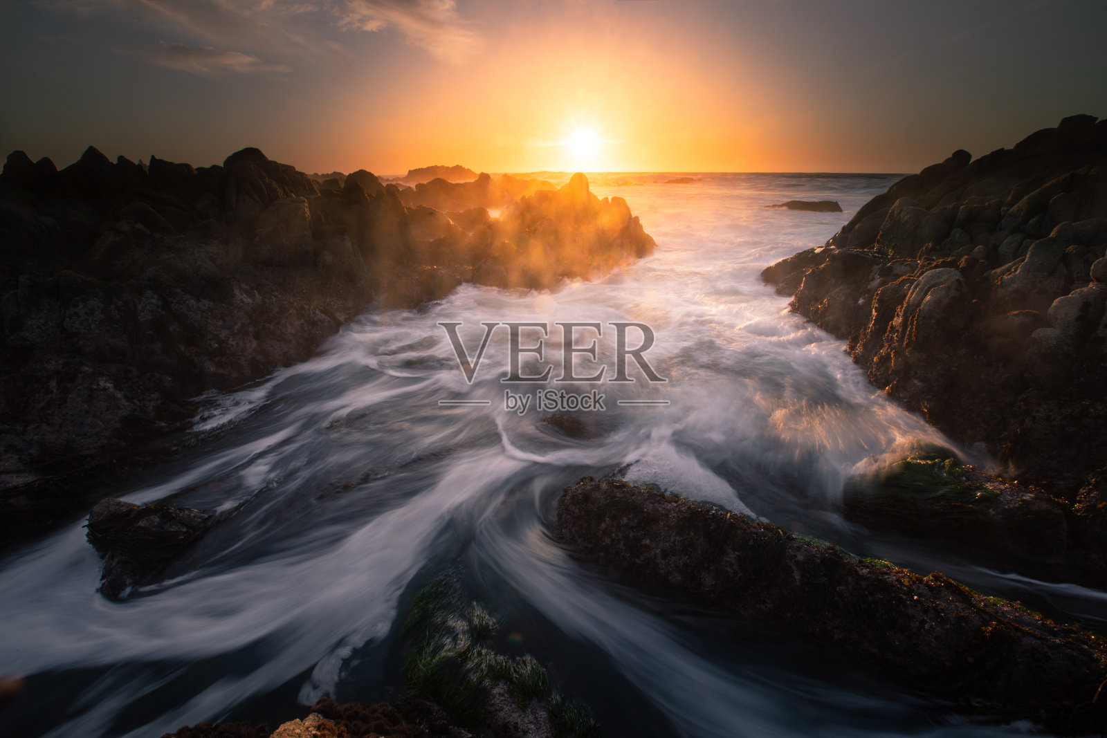 蒙特利海岸,CA。照片摄影图片