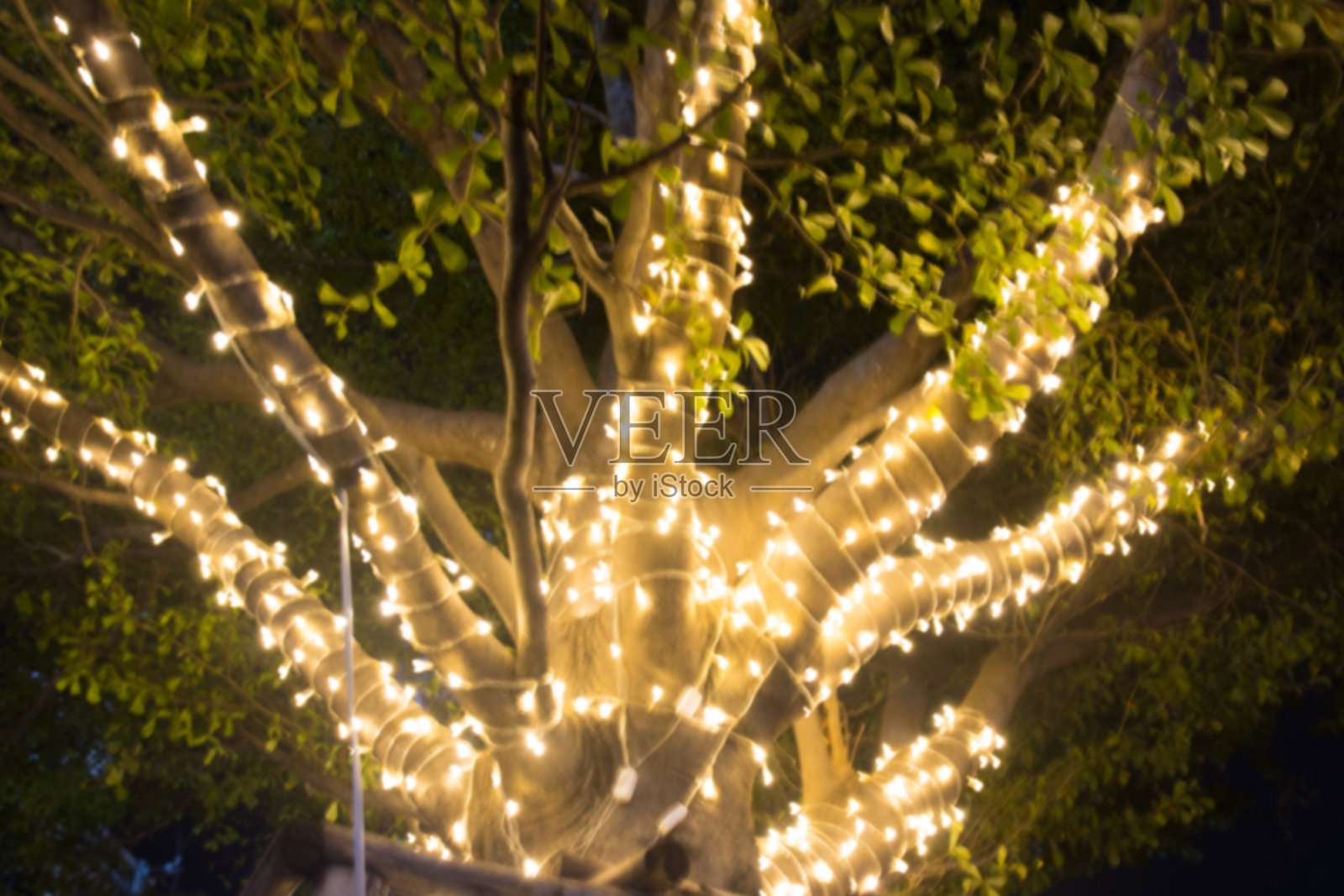模糊的形象装饰室外的串灯在晚上挂在花园里的树上照片摄影图片