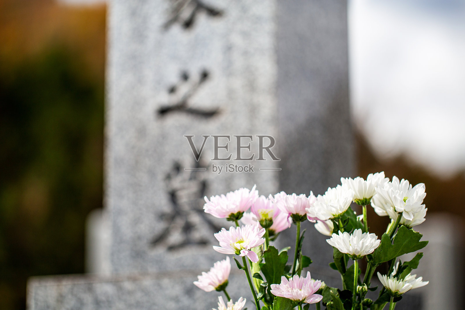 墓碑上照片摄影图片