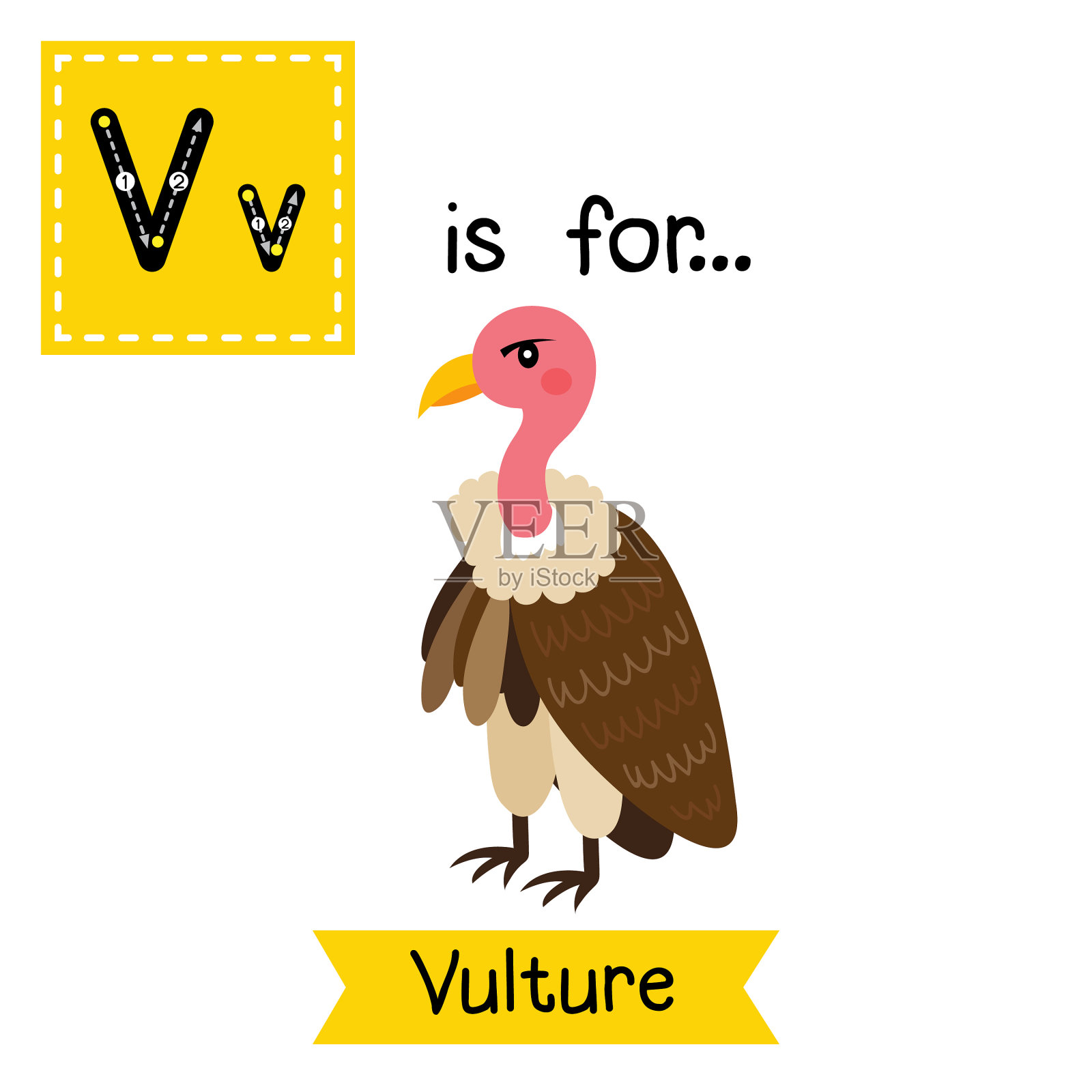 字母v描画秃鸟插画图片素材