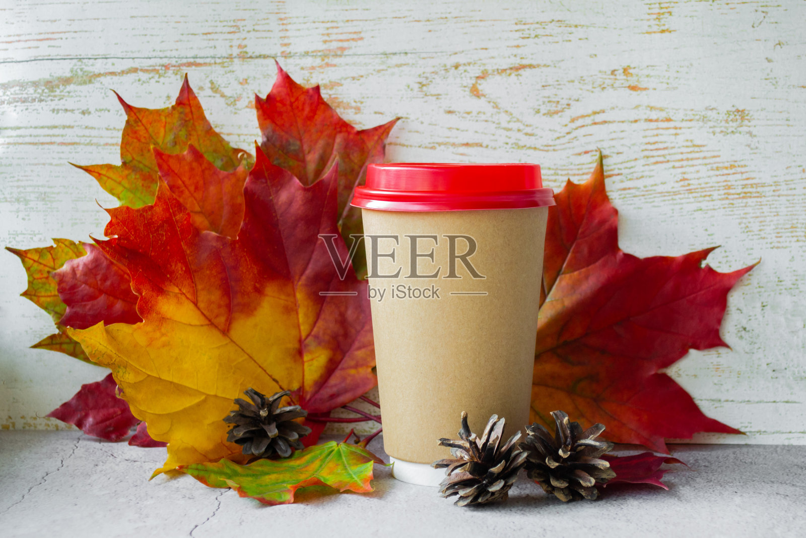 纸杯与一个红色的盖子背景秋季枫叶黄色,红色,绿色和杉木球果。木制背景。本空间照片摄影图片