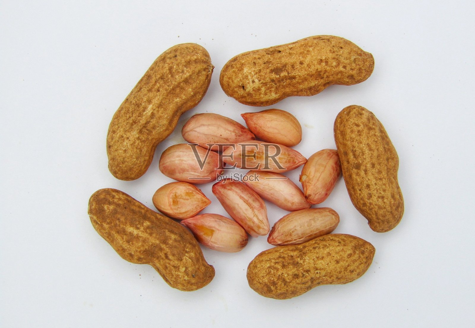 白底花生,花生库存照片照片摄影图片