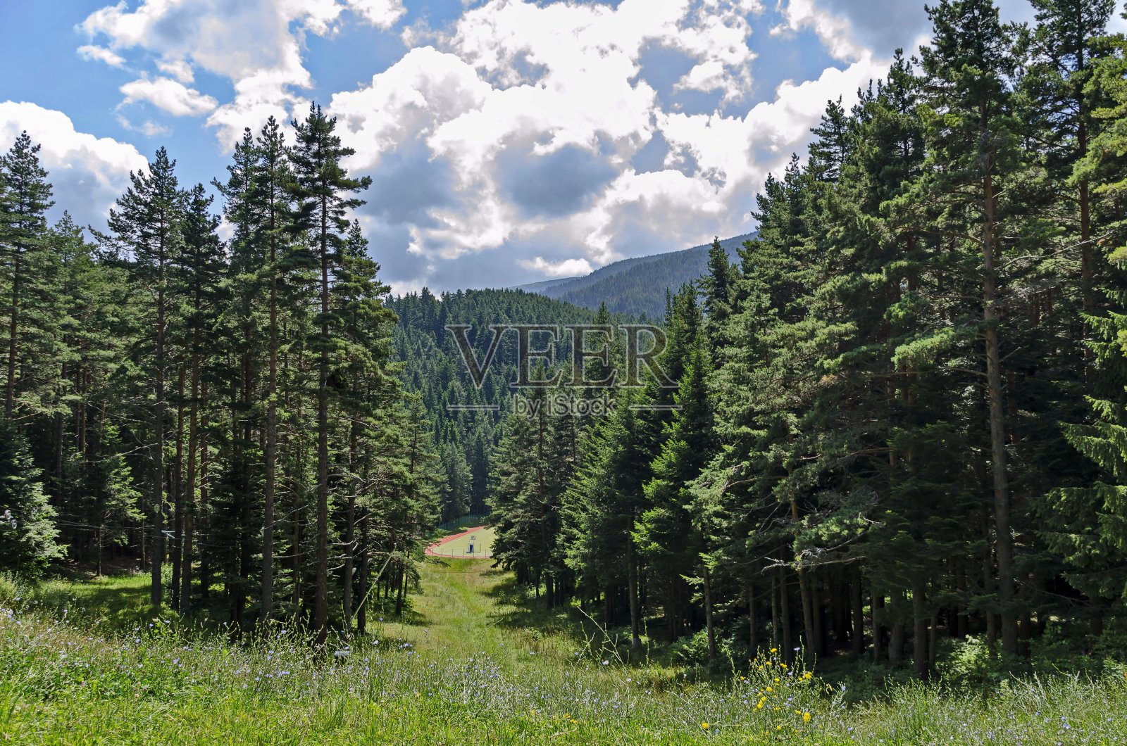 瑞拉山,绿树成荫,花团锦簇照片摄影图片