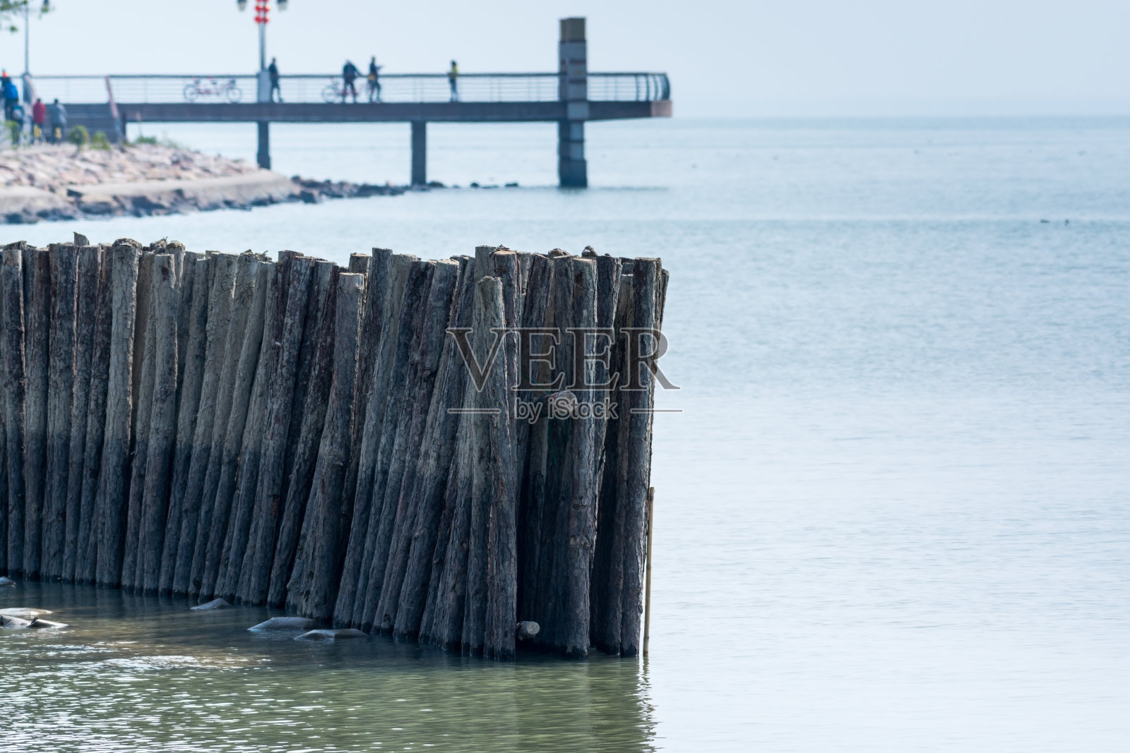 以中国深圳湾观景台为背景的海上木杆照片摄影图片