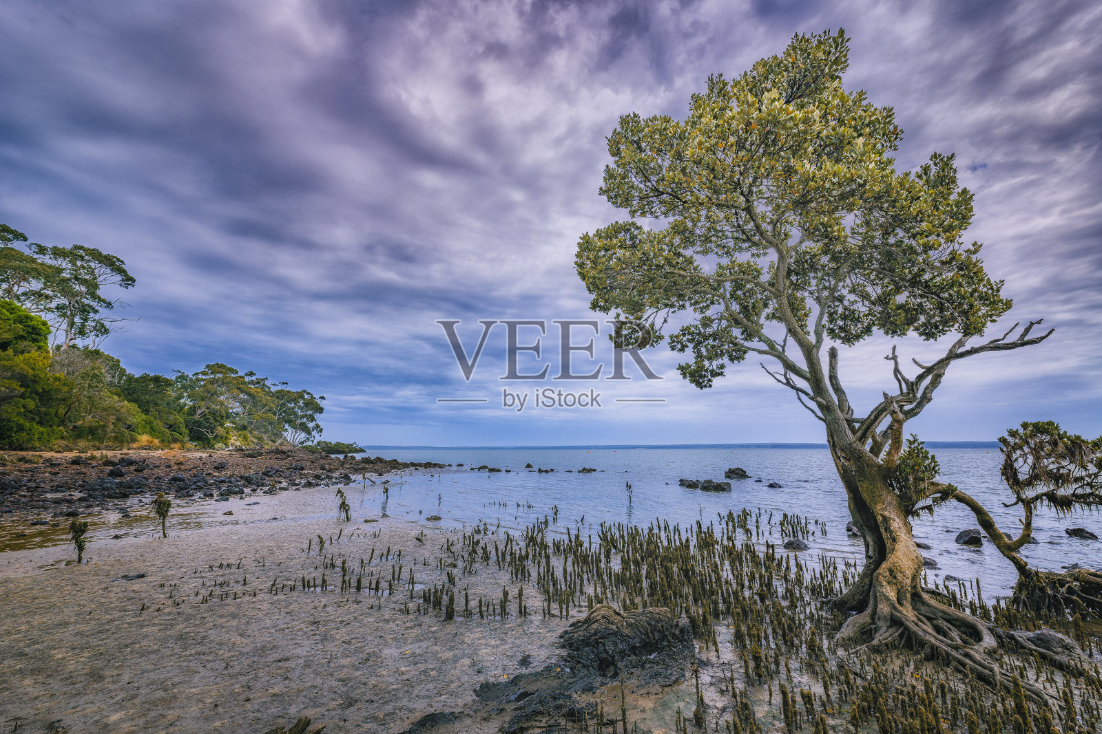 2020年11月,澳大利亚维多利亚州西港湾坦迪角暴风雨天气照片摄影图片